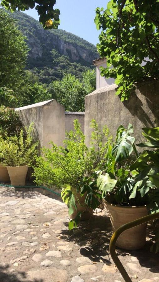 Casa Rural El Vihuelo El Bosque Luaran gambar