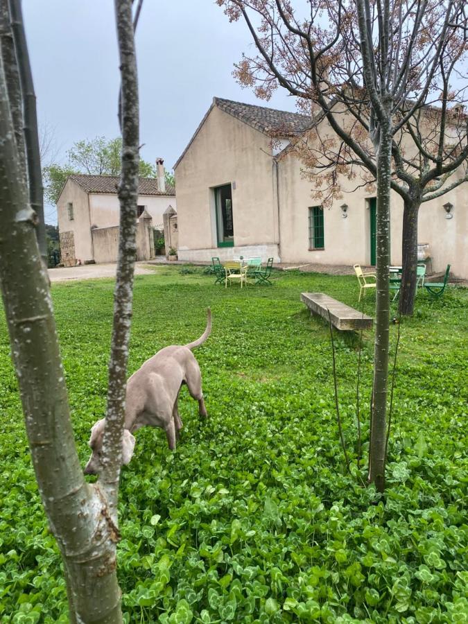 Casa Rural El Vihuelo El Bosque Luaran gambar