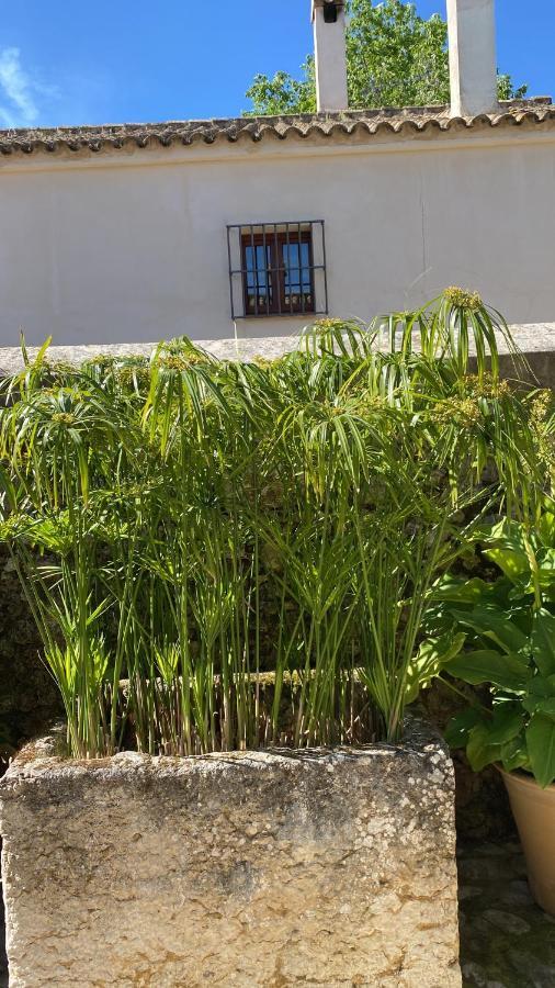 Casa Rural El Vihuelo El Bosque Luaran gambar