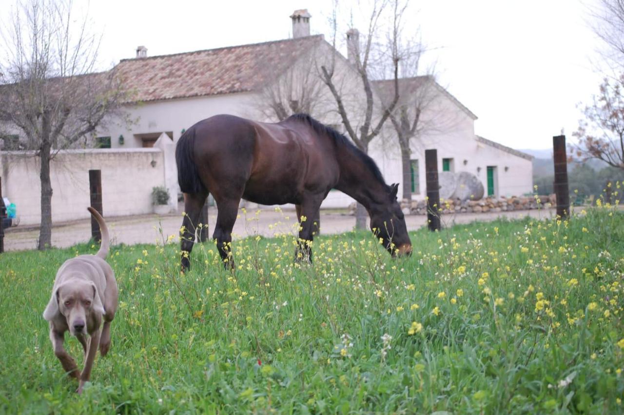 Casa Rural El Vihuelo El Bosque Luaran gambar